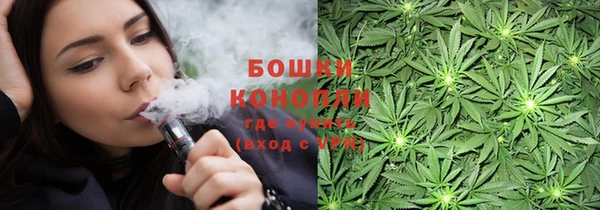 молекула духа Приозерск