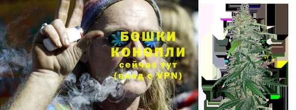 молекула духа Приозерск