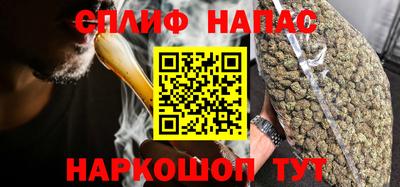 прущие грибы Бийск