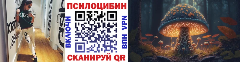 купить наркоту  Стрежевой  Галлюциногенные грибы прущие грибы 