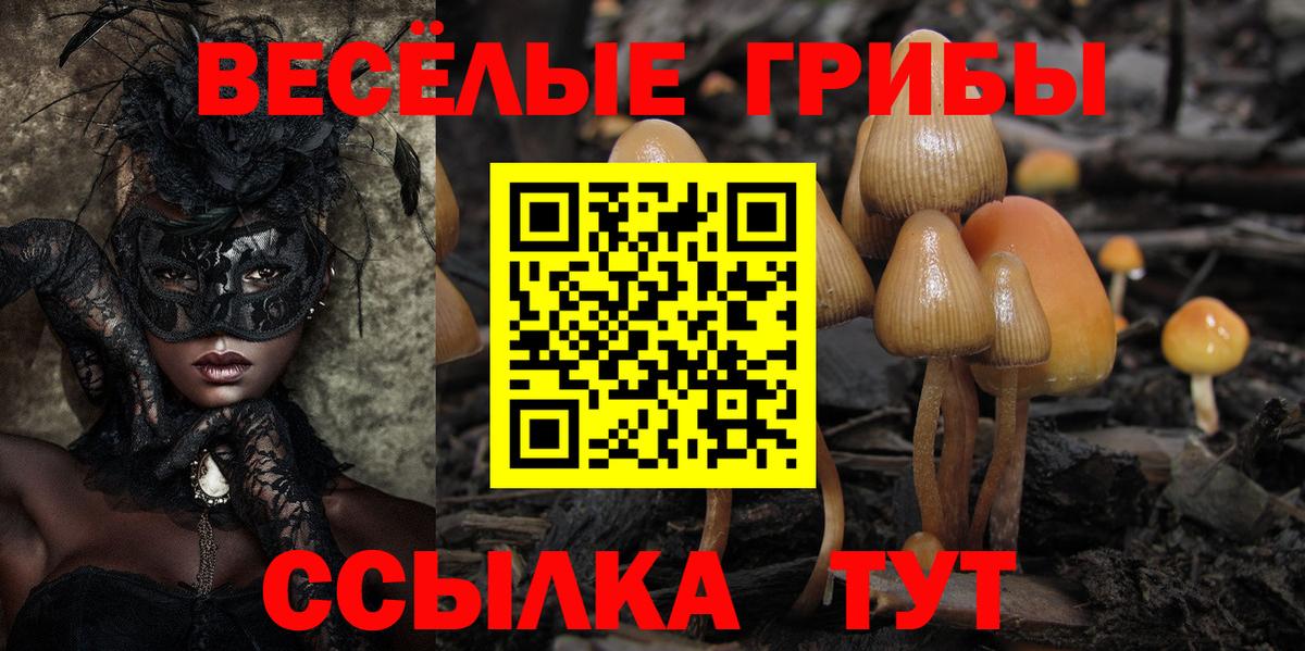 Галлюциногенные грибы мицелий  Вход с VPN  Галлюциногенные грибы мухоморы  Стрежевой 