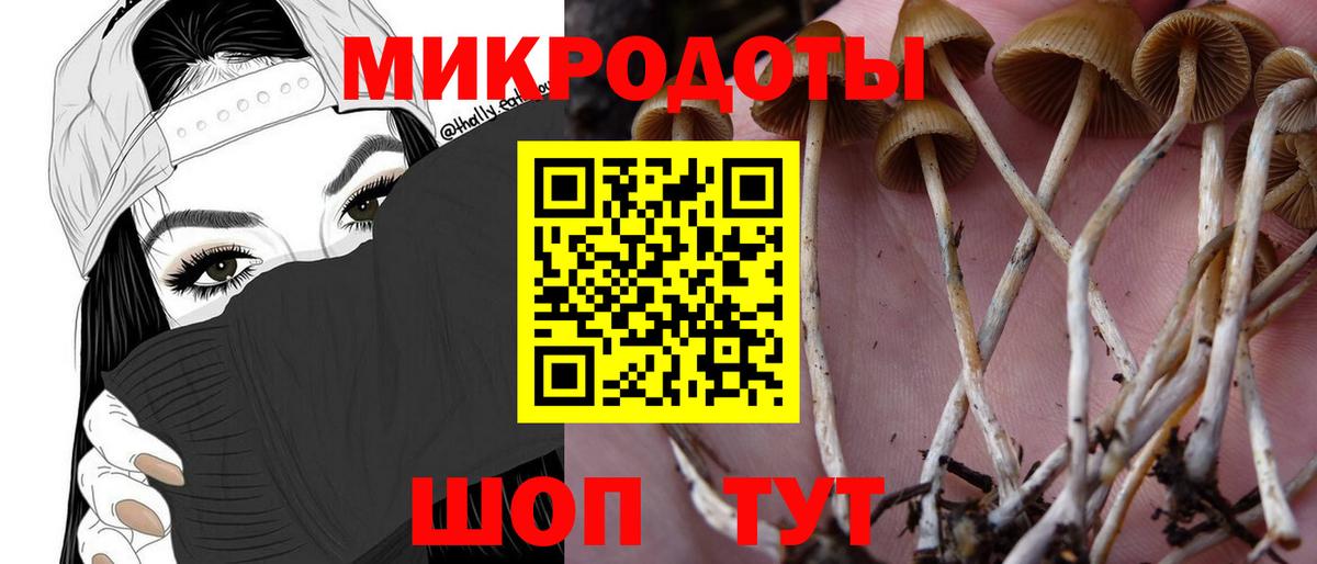 Псилоцибиновые грибы MAGIC MUSHROOMS Стрежевой